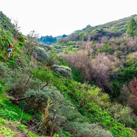 بيت للعطل Casa La Veguetilla En San Mateo *