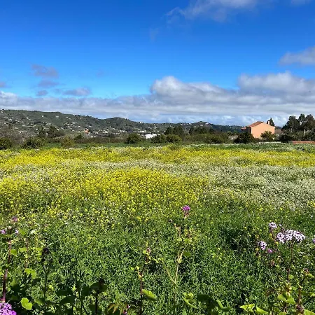 بيت للعطل Casa La Veguetilla En San Mateo *